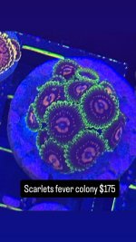 77A1B3EA-CA79-4870-B355-E030D4CB37ED.jpeg