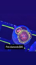 07163EB1-C657-4B82-8C46-42F2C19A4403.jpeg