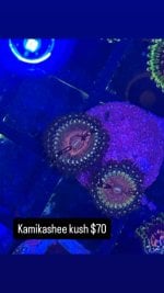 9D348C47-B612-40BF-A699-40EBBBE4737F.jpeg