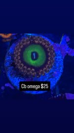 65C67D79-5AEF-4E02-B95F-7CF0C1350A09.jpeg