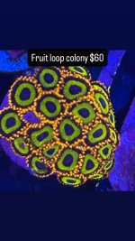 E002A184-3CF1-4F03-9C07-C0F595C707AB.jpeg