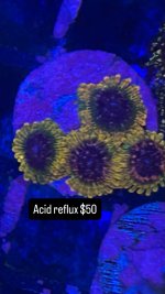 71C0234F-699B-47FF-AD3E-49999CE35A1E.jpeg