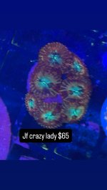 57AE0A3E-A0AB-4302-817A-24F7DF999A85.jpeg