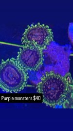 5AB2DCDC-C3D0-4342-B410-9B2D611A89BA.jpeg