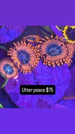 2A663D77-9A3D-4EAD-B121-90D1DC3C29F1.jpeg