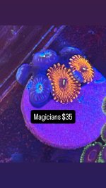 18A1AA72-8103-4BC1-BF9E-C5DC7D128CC5.jpeg