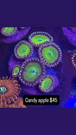 7384887B-391E-4506-AE62-8263750C777F.jpeg
