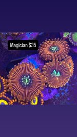 55597D74-FBB2-4A5F-8D3D-7D90AD0E3796.jpeg