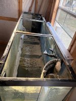 IMG_4734.jpeg