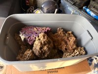 IMG_4737.jpeg