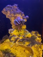 IMG_0192.jpeg