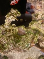 IMG_0212.jpeg