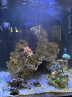 IMG_0048.jpeg