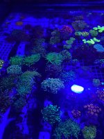 IMG_1149.jpg