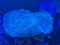 IMG_9728.jpeg