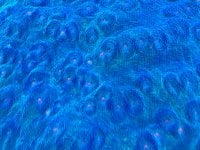 IMG_9729.jpeg