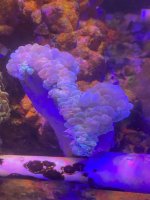 IMG_1158.jpg