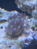 IMG_9662.jpeg