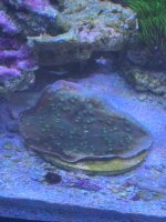 IMG_9661.jpeg