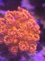 20260406_170706.jpg