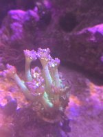 20260406_170702.jpg