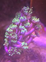 20260406_170653.jpg