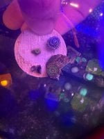 IMG_0298.jpeg