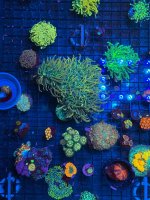 IMG_6382.jpeg