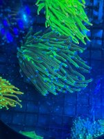 IMG_5770.jpeg