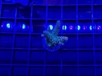 IMG_0615.jpeg