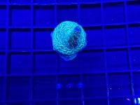 IMG_0616.jpeg