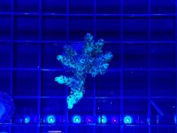 IMG_0617.jpeg