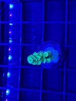 IMG_0612.jpeg
