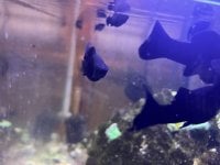 IMG_4054.jpeg