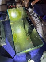 IMG_5664.jpeg