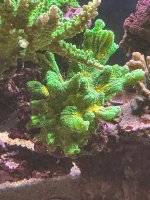 IMG_4398.jpeg