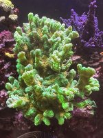IMG_4397.jpeg