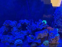 IMG_0355.jpeg