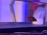 IMG_0359.jpeg