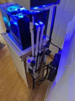 IMG_5462.jpeg