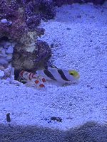 IMG_2492.jpeg
