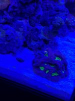 IMG_2561.jpeg