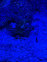 IMG_2562.jpeg
