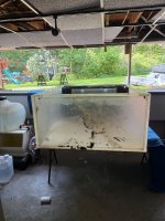 IMG_0514.jpeg