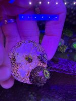 IMG_0349.jpeg