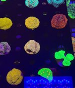IMG_0441.jpeg
