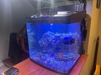 IMG_7956.jpeg