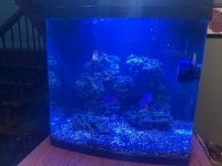 IMG_7957.jpeg