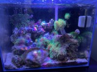 IMG_2286.jpeg