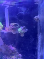 IMG_2529.jpeg